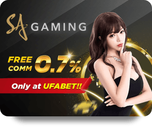VF555 Thể Thao VIP: Xu Hướng Mới Của Giới Trẻ Việt